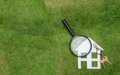 Virtual House Hunting